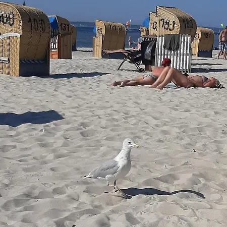 Penthouse Auszeit, Gerne Mit Hund, Wlan Inkl. Daire Laboe