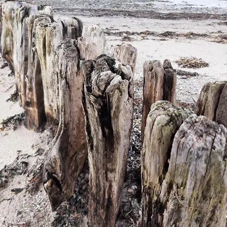 Penthouse Auszeit, Gerne Mit Hund, Wlan Inkl. * Laboe